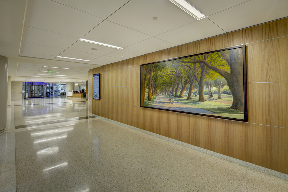 Laurel Daniel installation of "Tunnel of Trees" at Memorial Hospital Houston corridor shot photographed by Johnny Stevens Austin architectural photographer