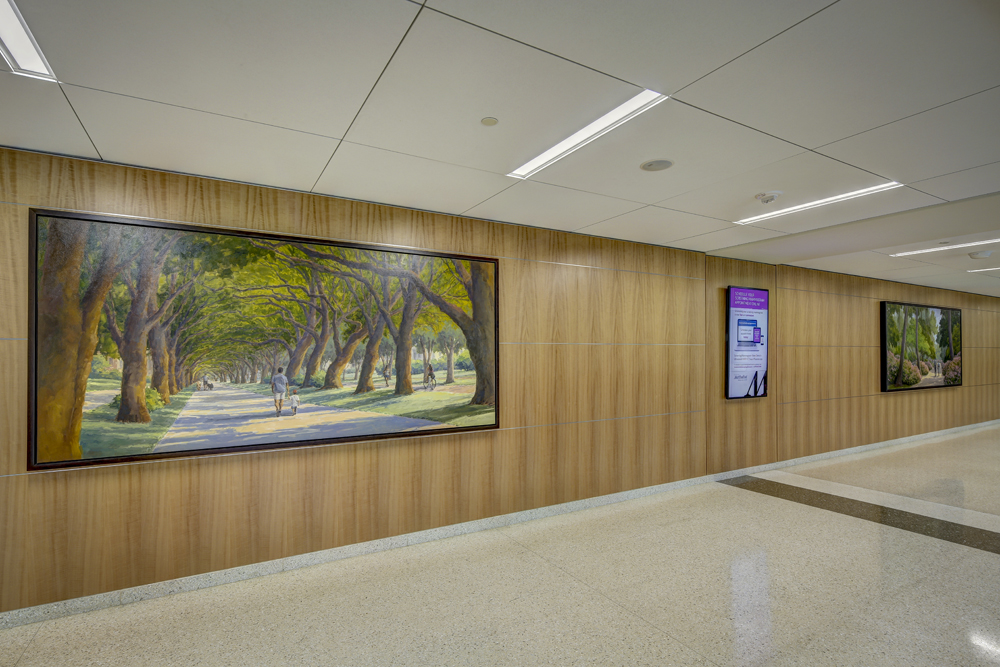 Laurel Daniel installation of "Tunnel of Trees" at Memorial Hospital Houston corridor shot photographed by Johnny Stevens Austin architectural photographer