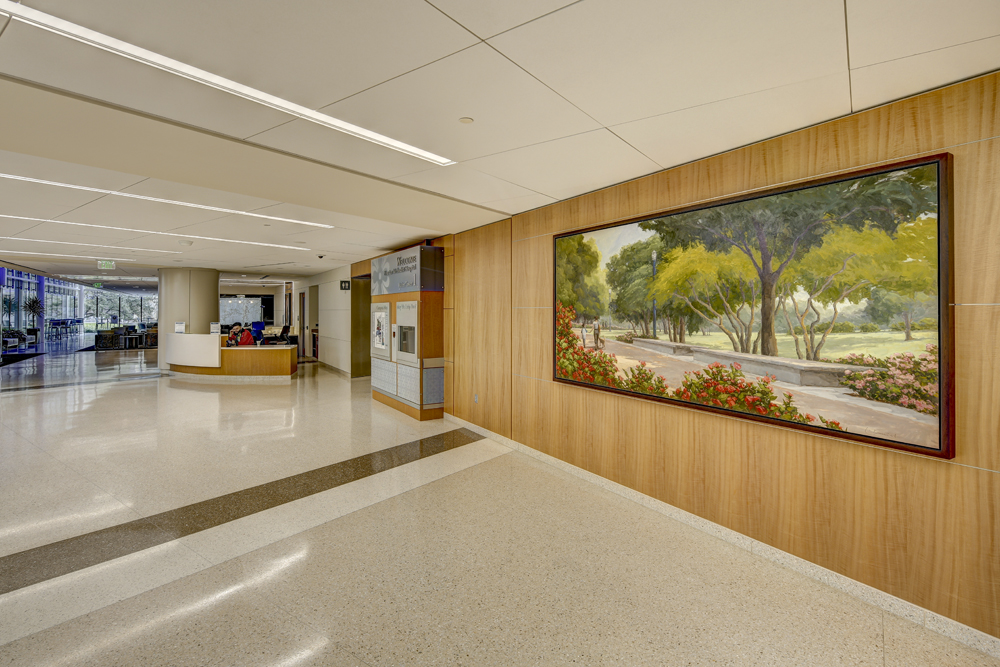 Laurel Daniel installation of "Roses in Hermann Park" corridor shot at Memorial Hospital Houston photographed by Johnny Stevens Austin architectural photographer